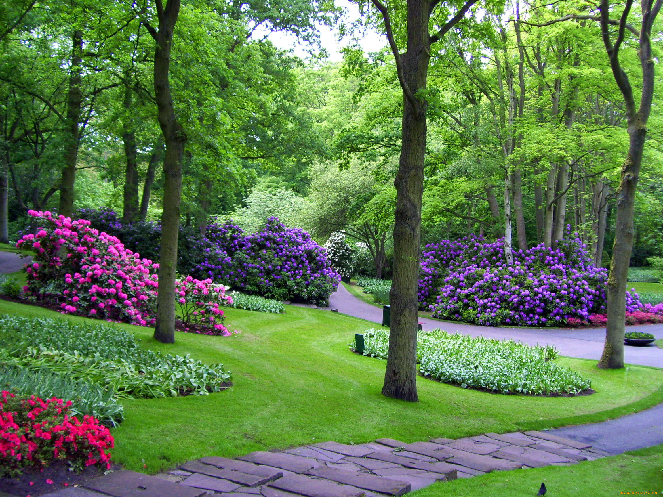 , , keukenhof, gardens